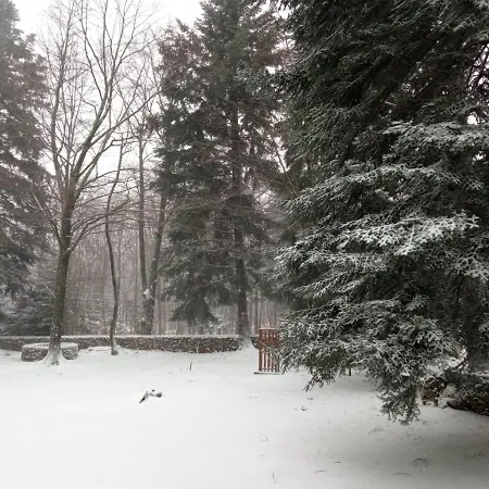 Vjeverica Chalet