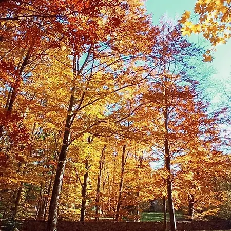 Vjeverica * Bribir (Primorje-Gorski Kotar)